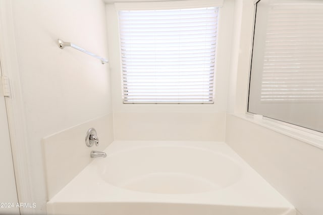 bathroom featuring a washtub