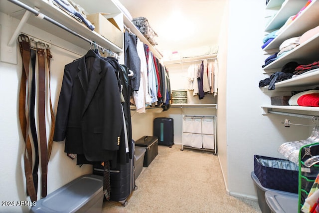 walk in closet with light colored carpet