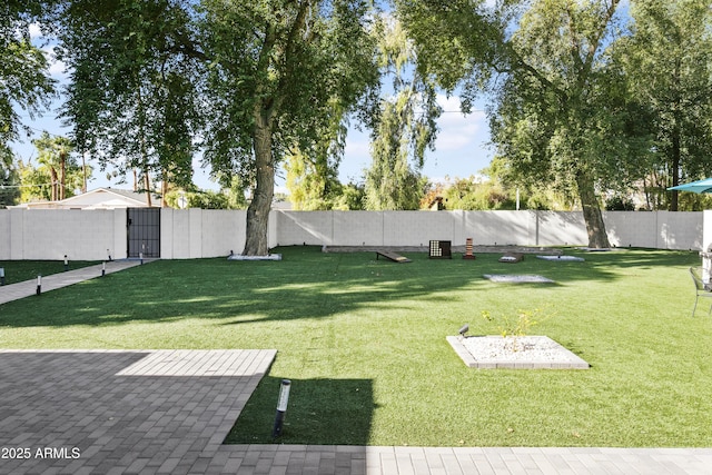 3139 N 40th St, Phoenix, AZ 85018 - view of yard
