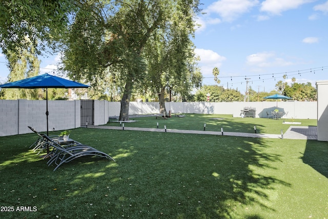 3139 N 40th St, Phoenix, AZ 85018 - view of yard