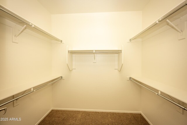 40808 N Raleigh Ct, Anthem, AZ 85086 - spacious closet with carpet