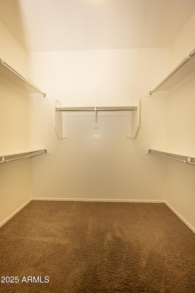 40808 N Raleigh Ct, Anthem, AZ 85086 - walk in closet with carpet flooring