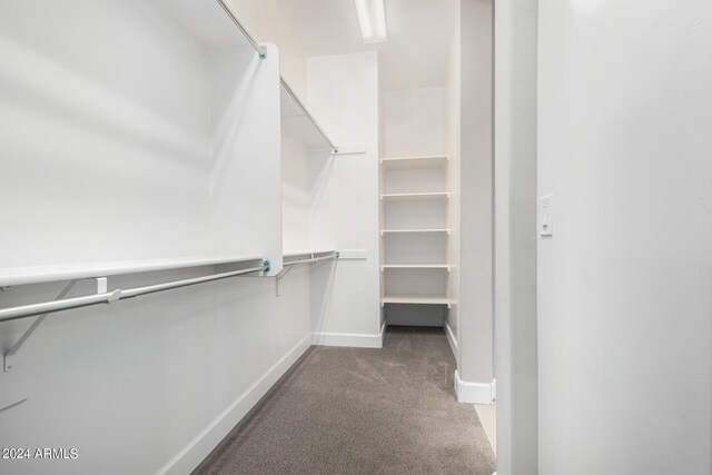 walk in closet with dark colored carpet