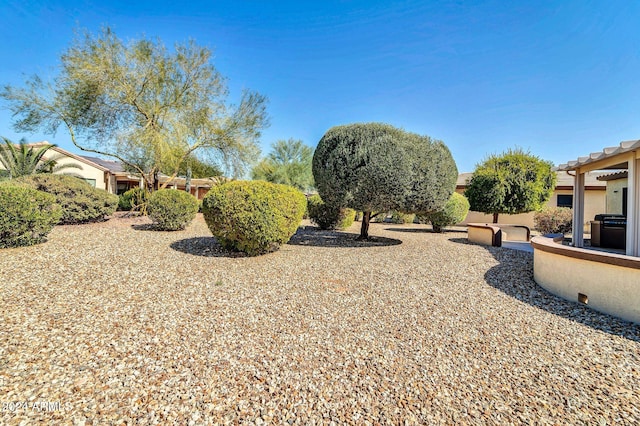 view of yard featuring a patio