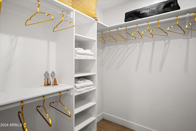 walk in closet featuring hardwood / wood-style floors