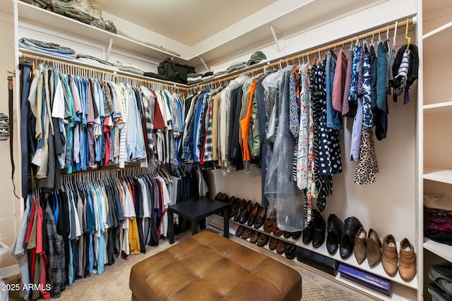 spacious closet with carpet flooring