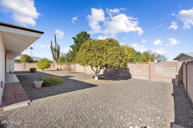 view of yard with a patio