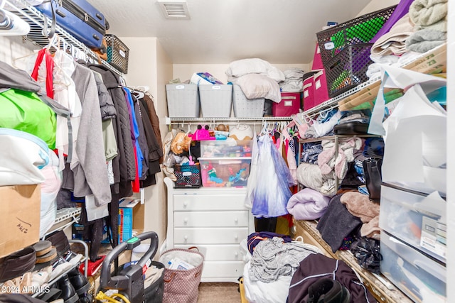 view of spacious closet