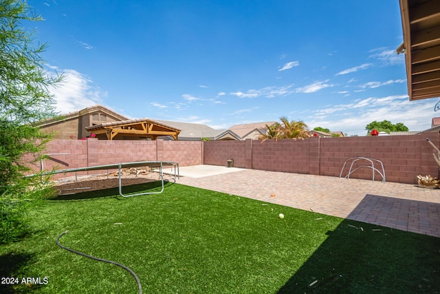 view of yard with a patio and a fenced backyard