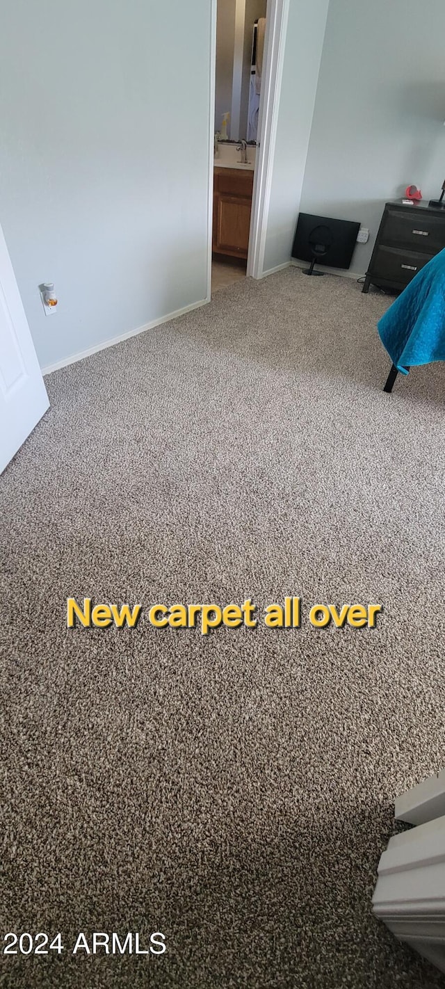 bedroom with carpet and a sink