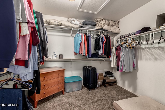 spacious closet featuring carpet floors