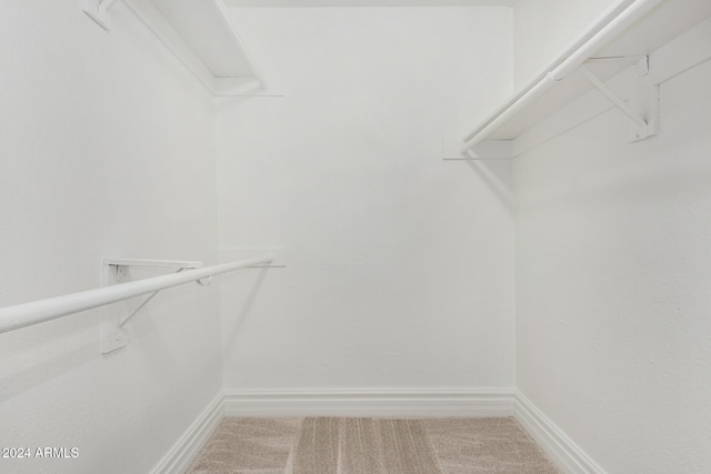 spacious closet featuring carpet flooring