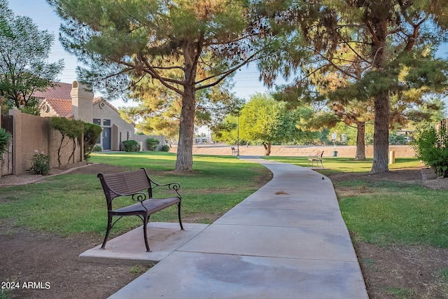 view of community with a lawn