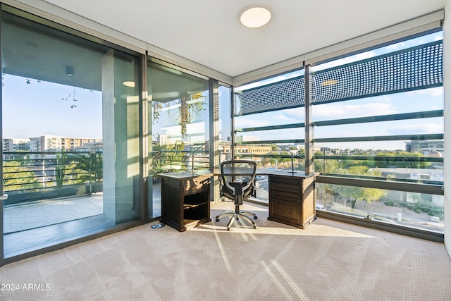 carpeted home office with a healthy amount of sunlight and a wall of windows