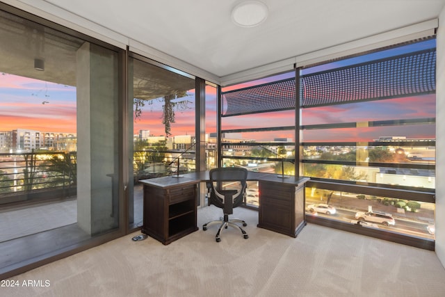 office area featuring light colored carpet and floor to ceiling windows