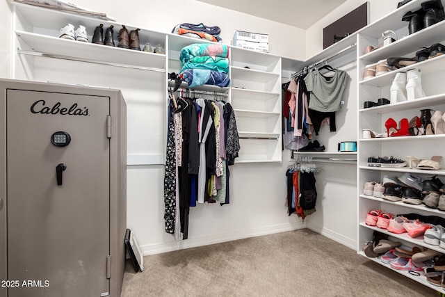 20709 W Delaney Dr, Buckeye, AZ 85396 - walk in closet featuring carpet flooring