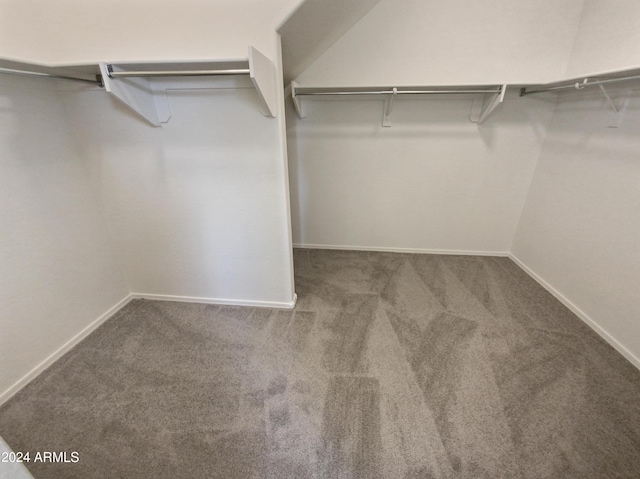 spacious closet featuring carpet floors