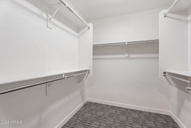 walk in closet with dark colored carpet