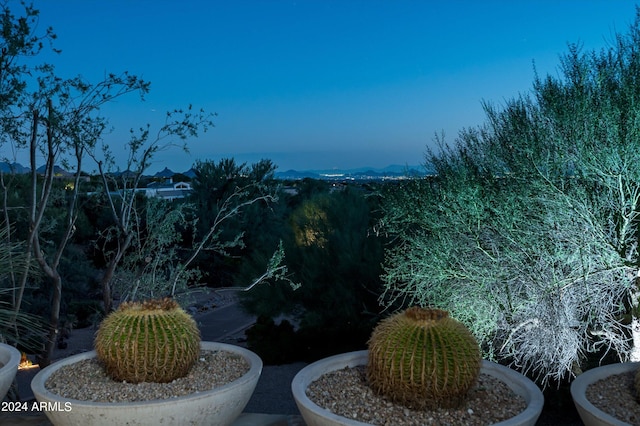 view of yard at dusk