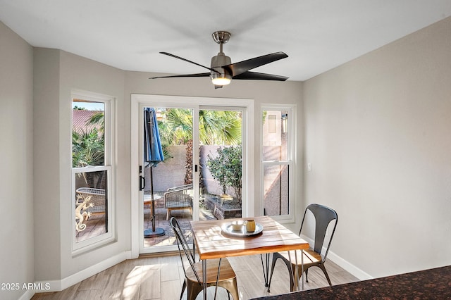 dining room with ceiling fan and light hardwood / wood-style flooring