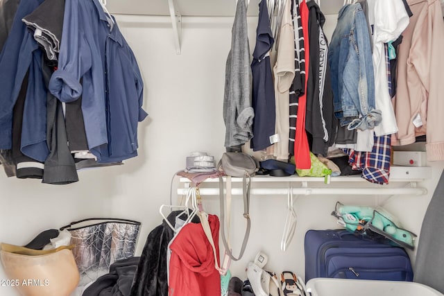 view of walk in closet