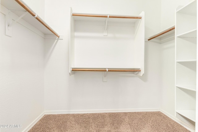 walk in closet with carpet floors