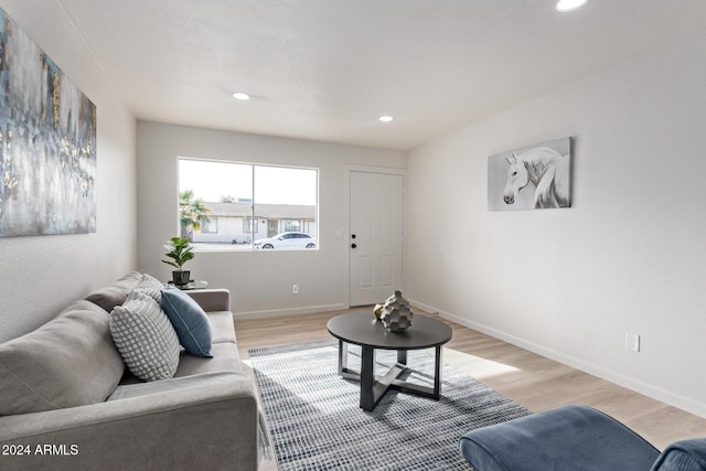 living room with light wood-type flooring