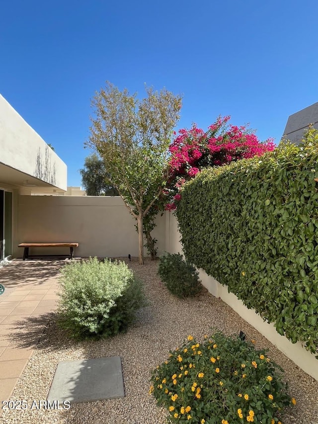 view of yard featuring a patio area