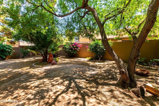 4135 E Altadena Ave, Phoenix, AZ 85028 - view of yard featuring a patio