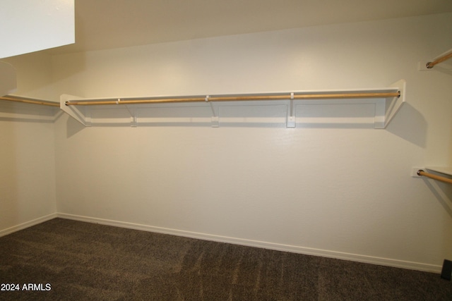 spacious closet with dark colored carpet