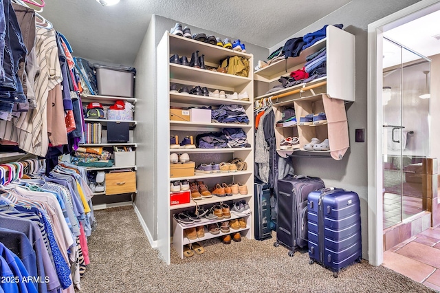2699 E Claxton Rd, Gilbert, AZ 85297 - spacious closet with carpet floors