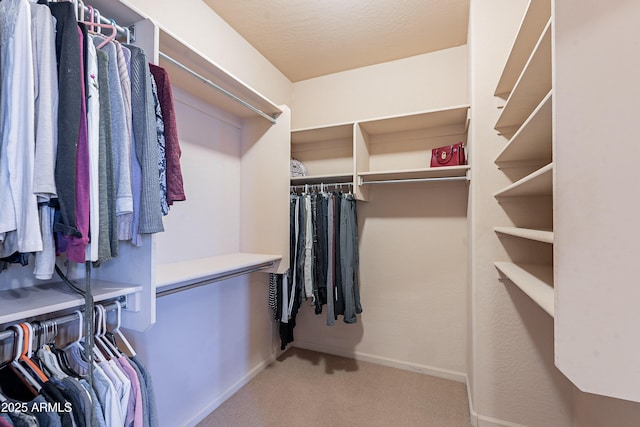 walk in closet with light colored carpet