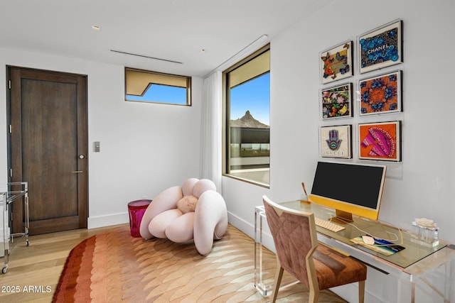 office space featuring light hardwood / wood-style flooring