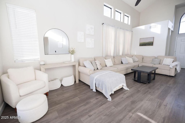 living room featuring wood-type flooring, ceiling fan, and high vaulted ceiling