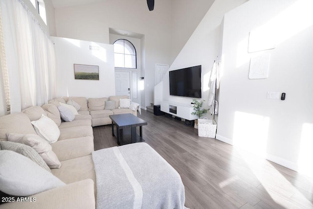 living room with wood-type flooring and a high ceiling