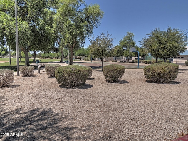 9233 E Neville Ave Unit 1011, Mesa, AZ 85209 - surrounding community featuring community basketball court