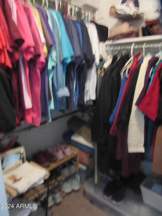 view of walk in closet