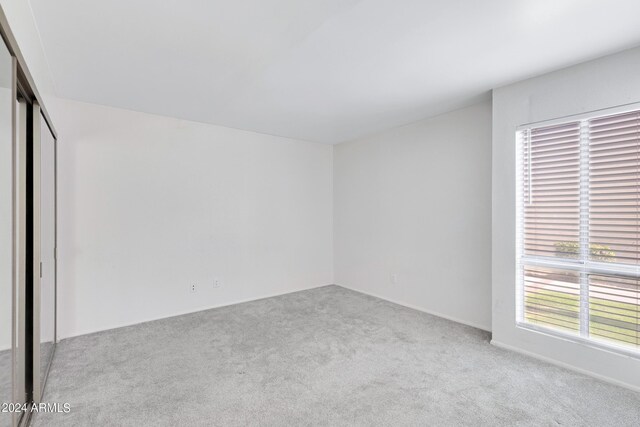 carpeted spare room with a wealth of natural light