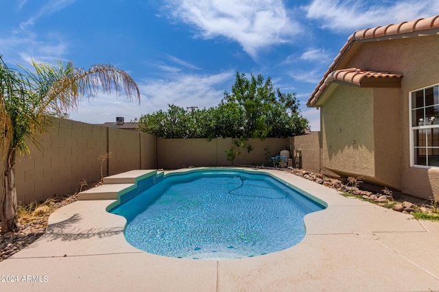 view of swimming pool with a patio