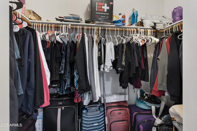 view of spacious closet