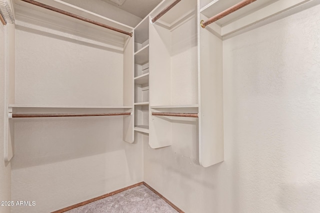 walk in closet with carpet floors