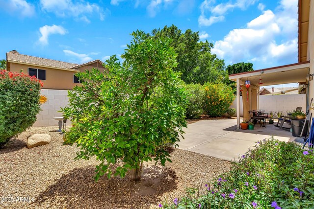 871 N Granada Dr, Chandler, AZ 85226 - view of patio / terrace featuring a fenced backyard