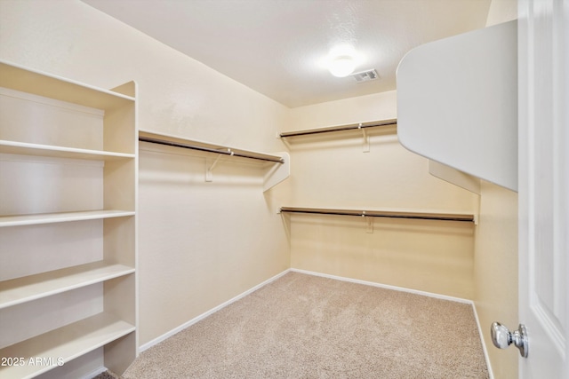 walk in closet with carpet