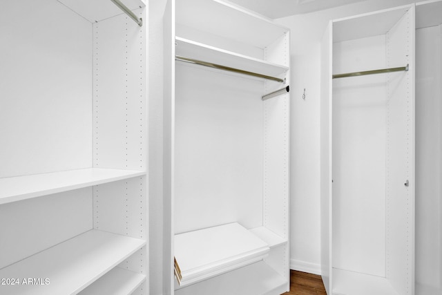 spacious closet with wood-type flooring