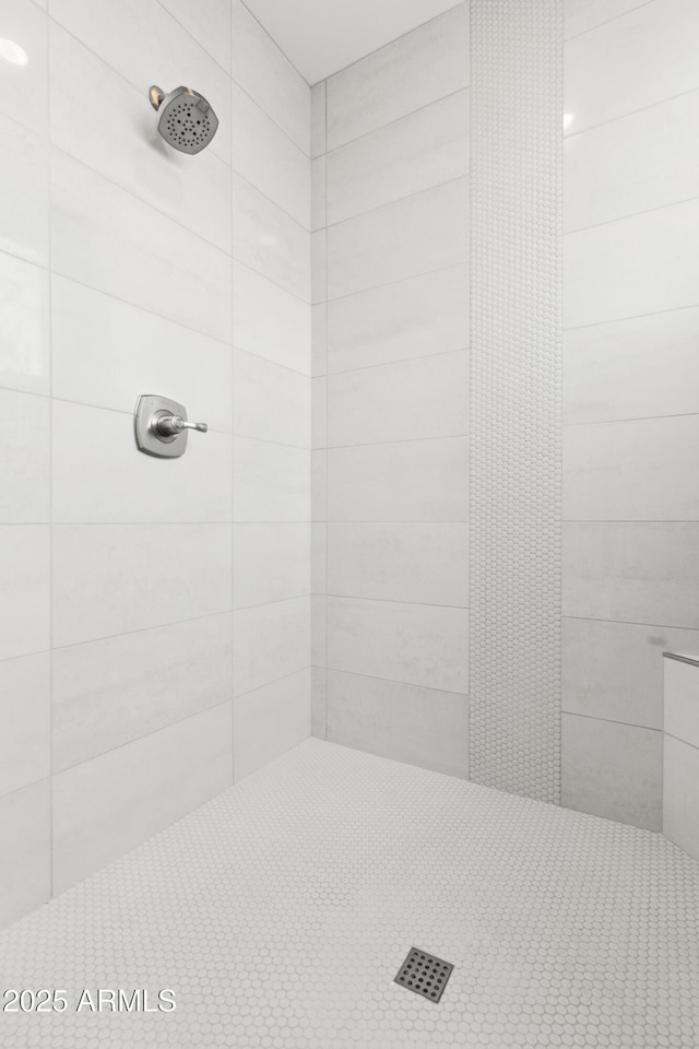 5250 E Deer Valley Dr Unit 140, Phoenix, AZ 85054 - bathroom featuring tiled shower