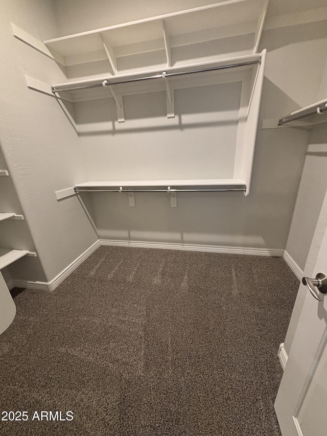 spacious closet with carpet flooring