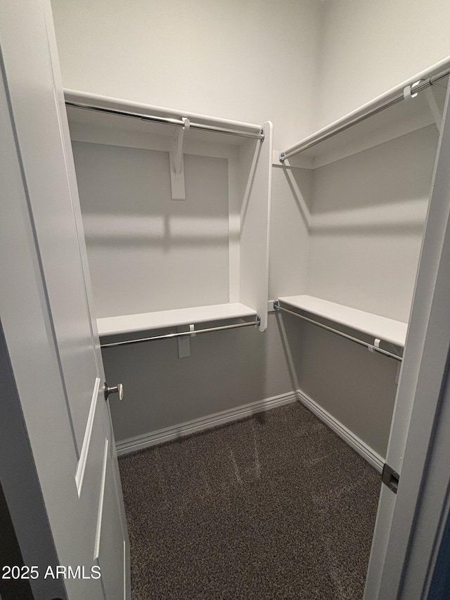 spacious closet with dark carpet