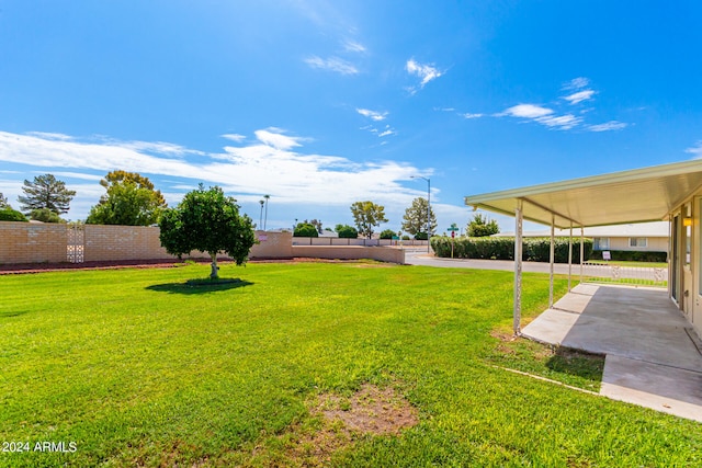 view of yard with a patio area