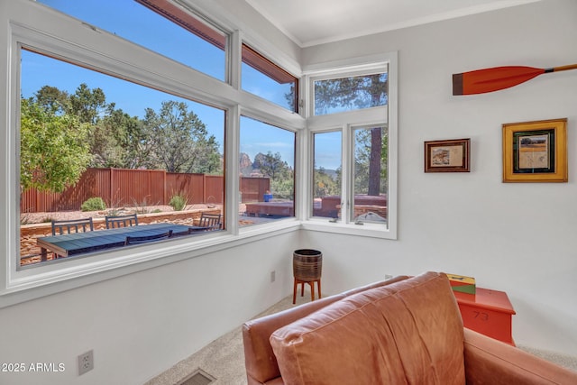 living area featuring carpet flooring and crown molding