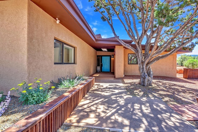 view of exterior entry with stucco siding